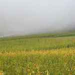 Domaine Beauregard Rolle