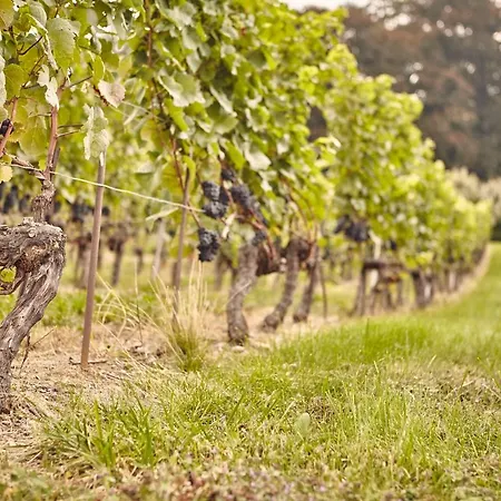 Vendégház Domaine Beauregard