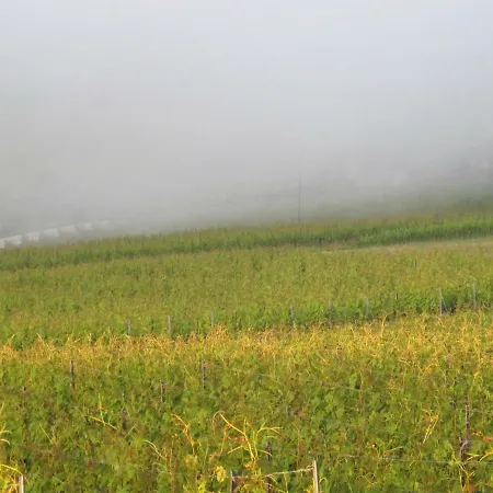 Domaine Beauregard Rolle
