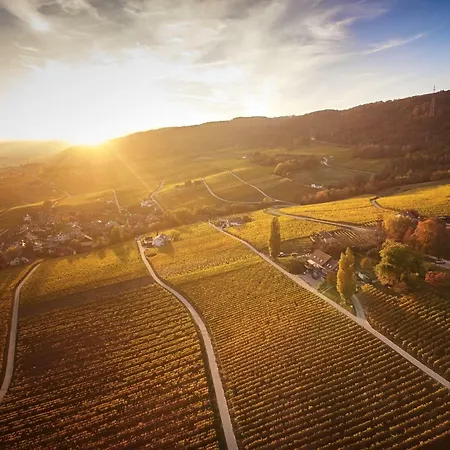 Domaine Beauregard 3*