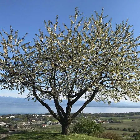 Domaine Beauregard ロール