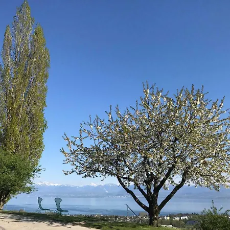Domaine Beauregard Gasthof