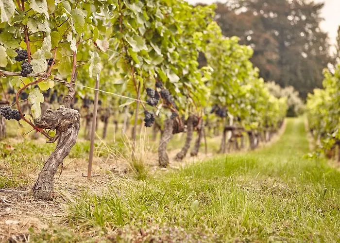 Pensjonat Domaine Beauregard