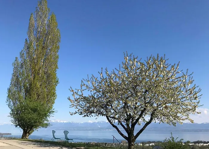 Domaine Beauregard Pensjonat