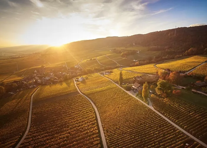 Domaine Beauregard 3*