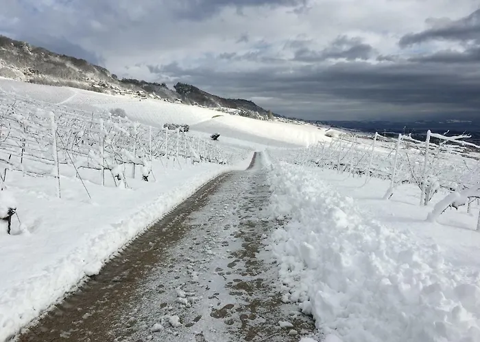 Domaine Beauregard 招待所 罗勒